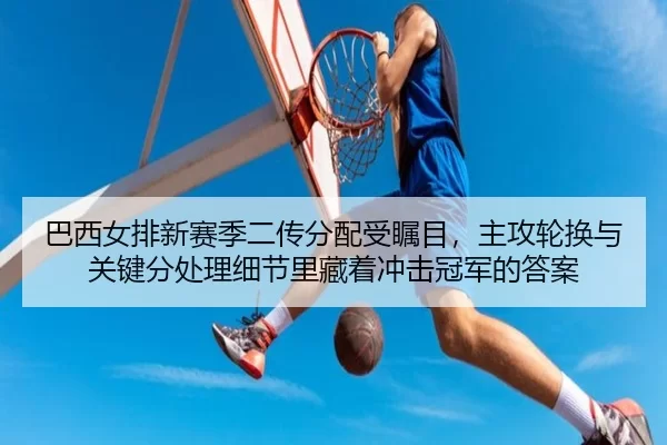 ba-xi-nv-pai-xin-sai-ji-er-chuan-fen-pei-shou-zhu-mu-zhu-gong-lun-huan-yu-guan-jian-fen-chu-li-xi-jie-li-cang-zhe-chong-2-509.jpg